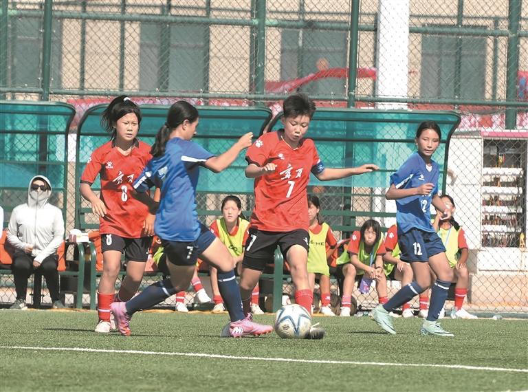 局联合主办